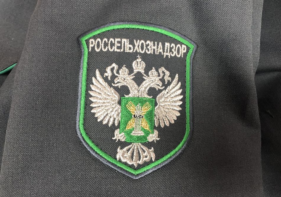 В Пензенскую область привезли 119 тысяч тонн потенциально опасной продукции