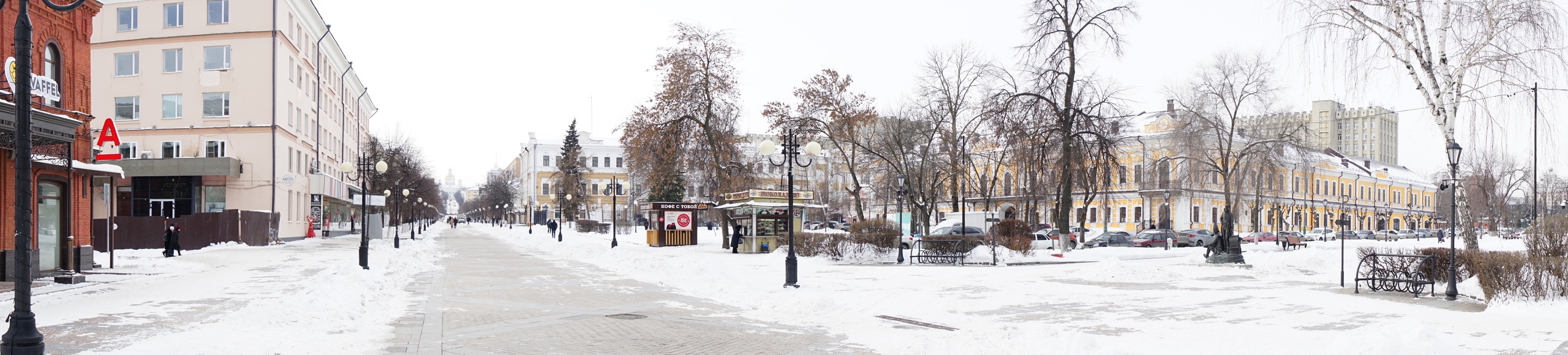 Ледяные дожди, опасная молочка и нелегальная миграция: что случилось в Пензе 12 февраля