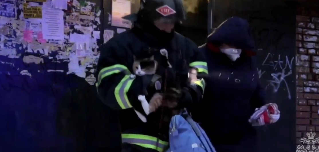 В Пензе из пожара в общежитии на Медицинской спасли семь человек и кошку