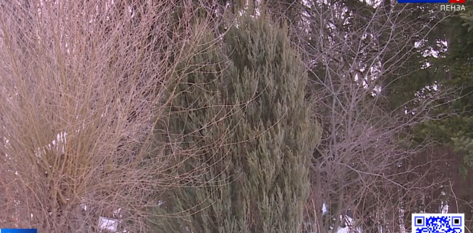 Почему в Пензенском ботаническом саду больше нельзя будет гулять в одиночку