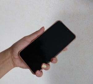 Пензенские автопутешественники не останутся в Ставрополье без связи