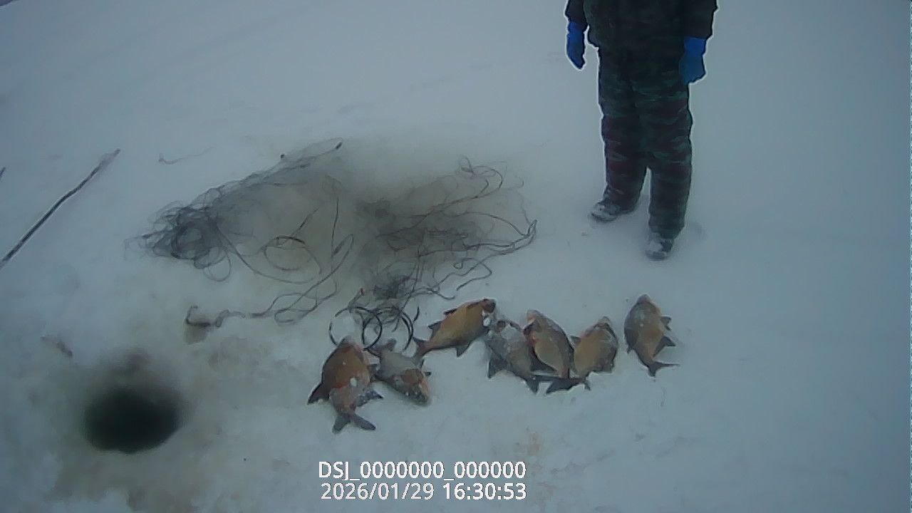 В Пензенской области рыбоохрана выявила более 20 нарушений за две недели