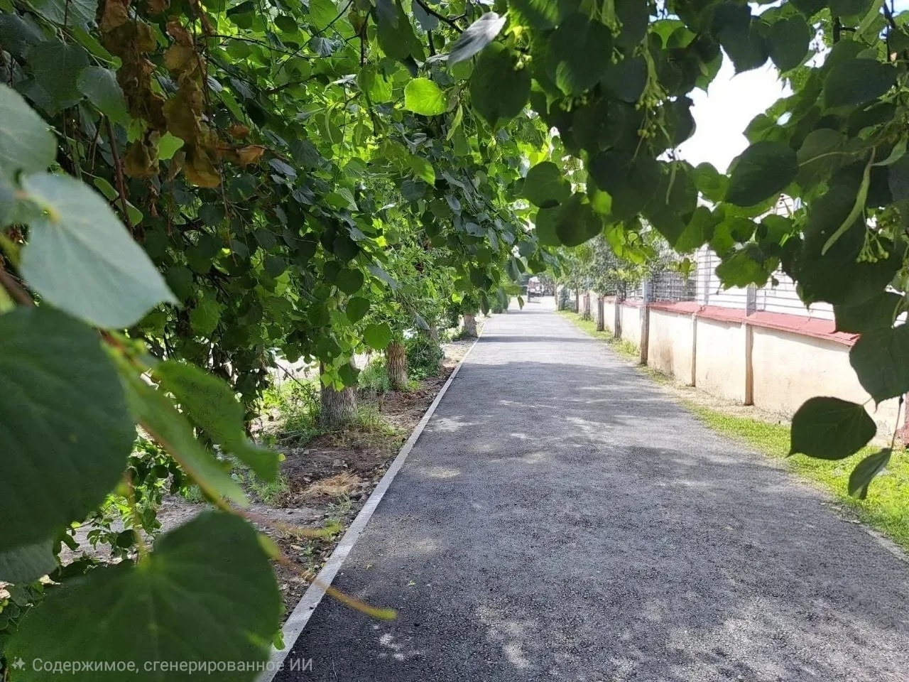 В Сердобске нашли подрядчиков для благоустройства двух пешеходных зон