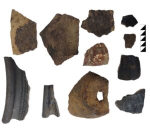 В центре Пензы при раскопках археологи обнаружили предметы 19 века