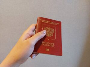 В Пензенской области оформить гражданство ребенку до 14 лет можно через МФЦ