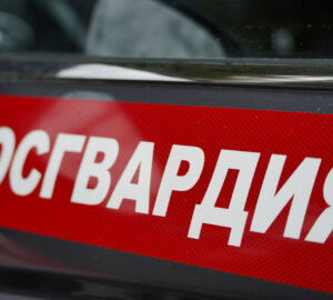 В Пензе двух молодых людей задержали за дебош у торгового центра