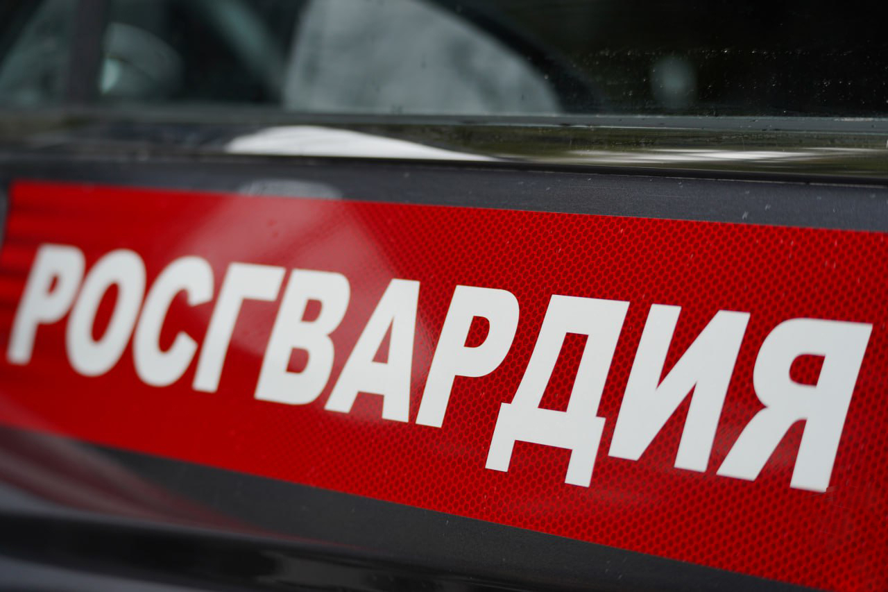 В Пензе двух молодых людей задержали за дебош у торгового центра