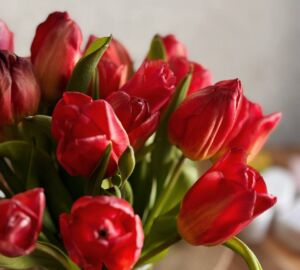 В Пензенской области на начавшейся неделе сохранятся весенние температуры