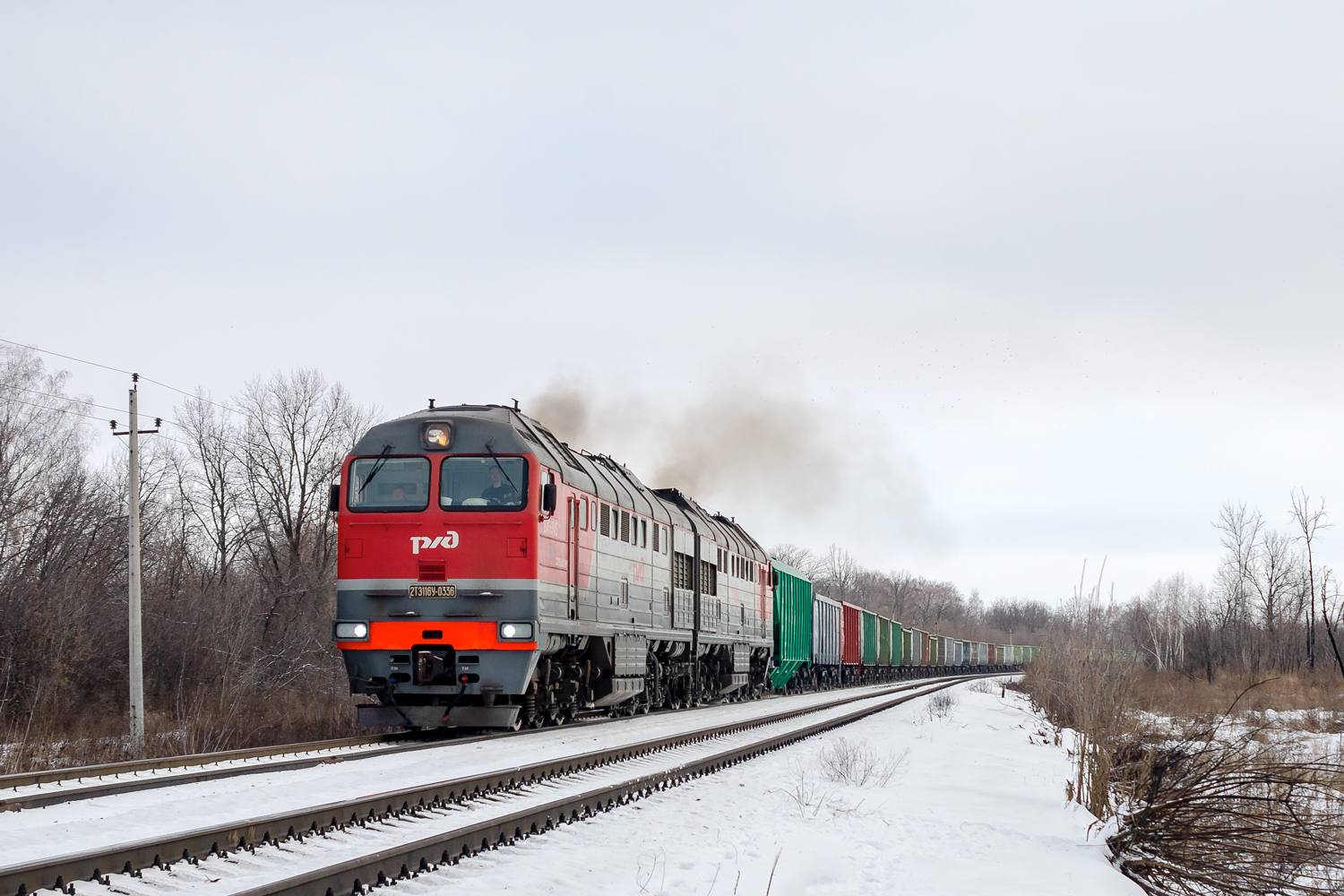 На 34% выросла погрузка на железной дороге в Пензенской области