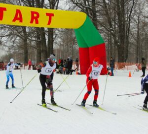 В Городище 14 февраля состоится массовая гонка Лыжня России