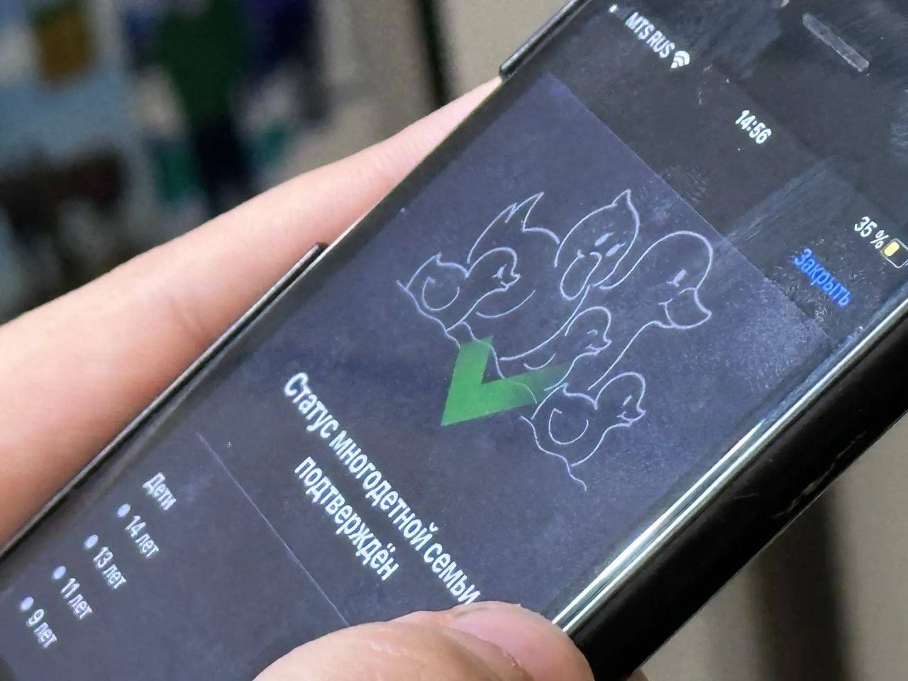 Пензенская область переходит на формат жизненных ситуаций при оказании госуслуг