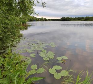 Этой весной в пензенском водохранилище приток воды ожидают ниже обычной нормы