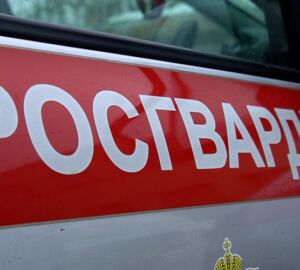 В Пензе росгвардейцы задержали двух мужчин после дебоша в ночном баре