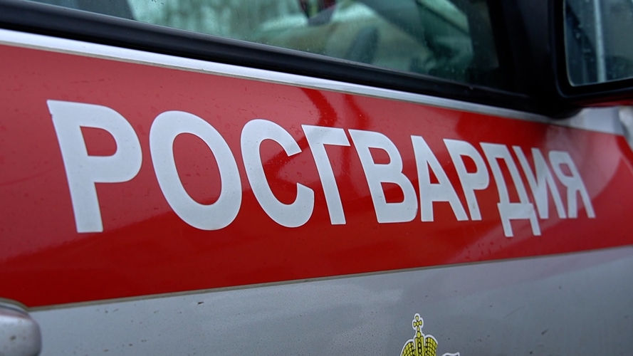 В Пензе росгвардейцы задержали двух мужчин после дебоша в ночном баре