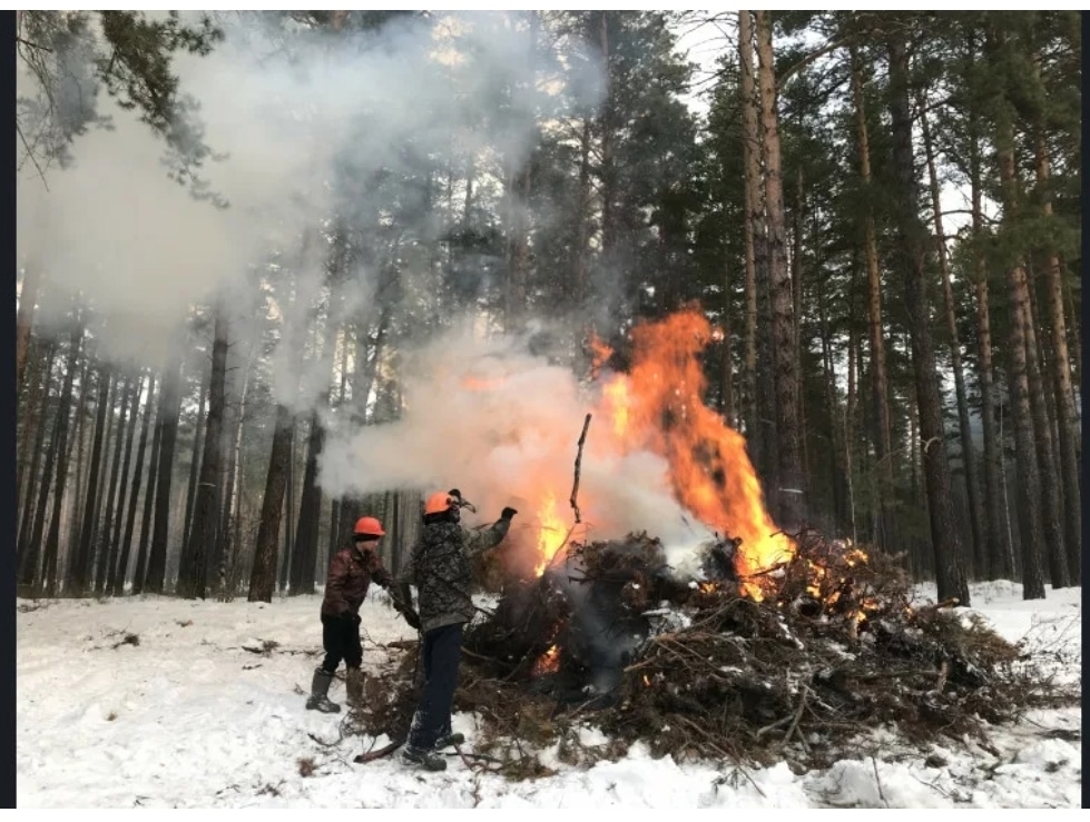 Жителям Городищенского района объяснили, откуда утром появился дым
