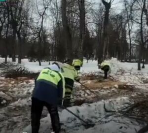 Пензенцам объяснили, почему в сквере Лермонтова спиливают деревья