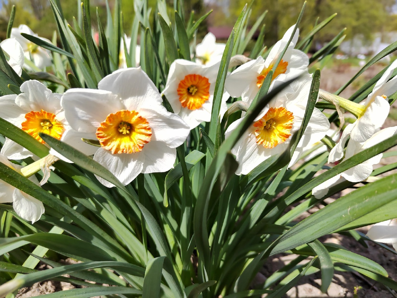 Мошенники могут заманивать пензенцев «скидками» в театр перед 8 Марта