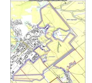 В Пензе вокруг Ахунского соснового бора хотят создать охранную зону
