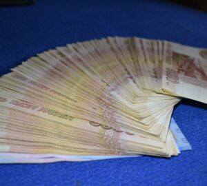 Пензенским семьям объяснили, кто сможет получить семейную налоговую выплату