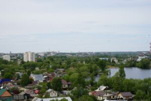 В Пензе формируют список участков для озеленения после нашествия златки