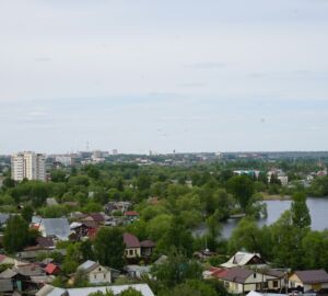Пензенцам рассказали куда обращаться для опиловки деревьев во дворах 