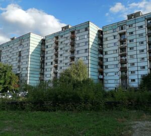 В Пензе жителям рассказали, куда подавать заявки на озеленение дворов