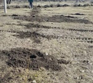 Пензенские специалисты завершают работы на артезианской скважине №11 в Токмаке