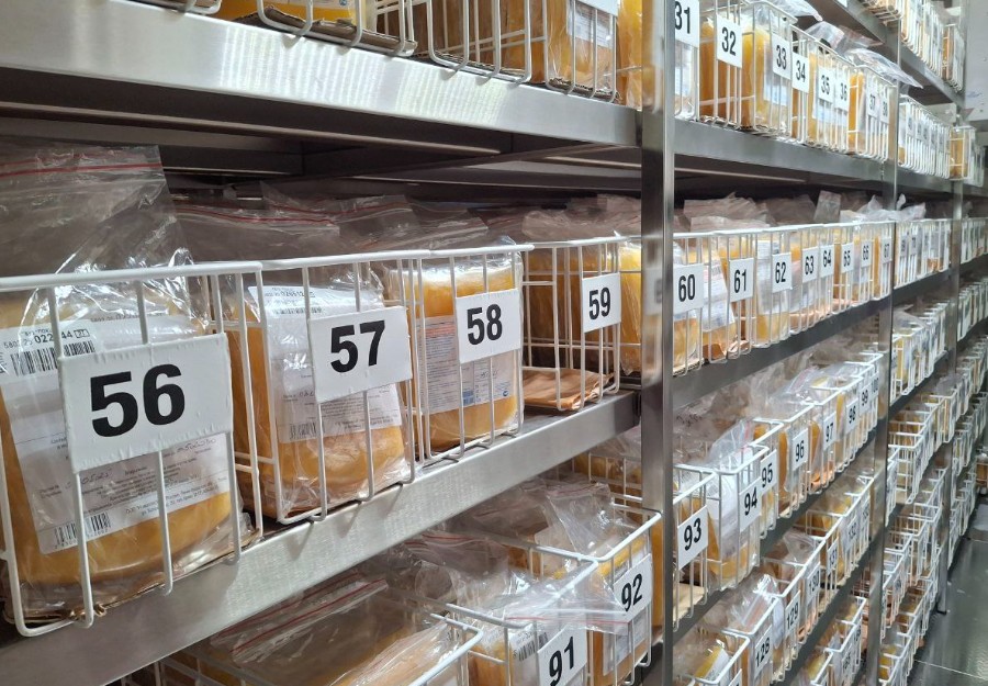 В Пензе собирают плазму для производства антирезусного иммуноглобулина