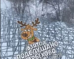 На территорию пензенской больницы забрёл растерянный оленёнок