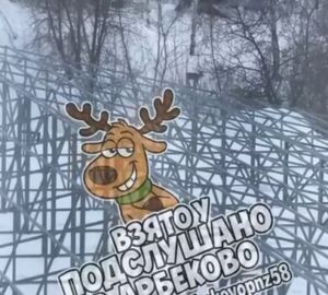 На территорию пензенской больницы забрёл растерянный оленёнок