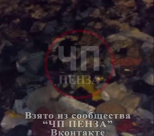 Под окнами дома на улице Клары Цеткин в Пензе образовалась огромная свалка