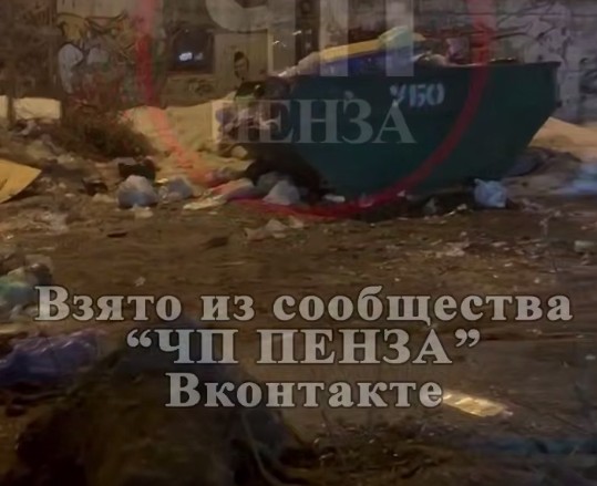 В Пензе жители улицы Ухтомского пожаловались на полчища крыс