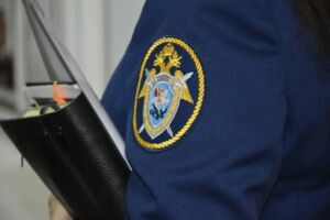 Бастрыкин потребовал доклад по делу о подростке, травмированном наледью в Пензе