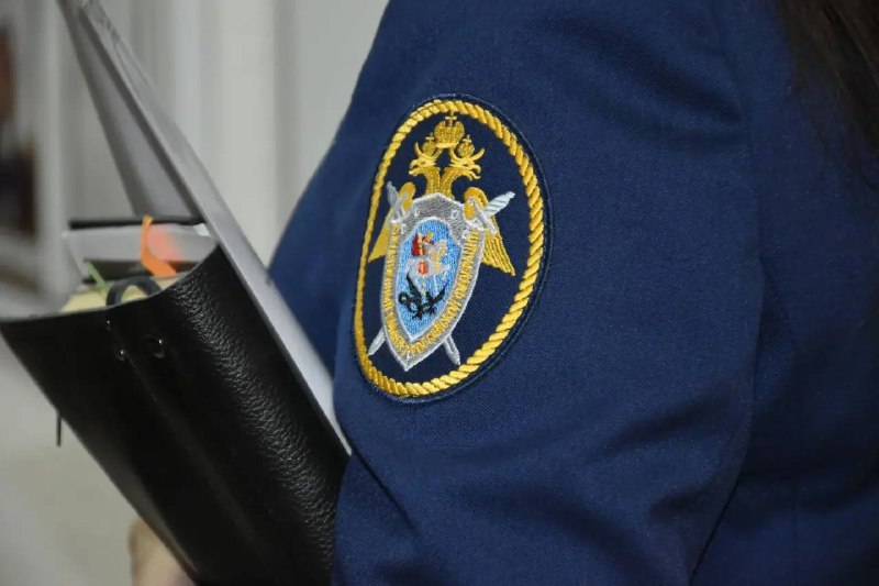 Бастрыкин потребовал доклад по делу о подростке, травмированном наледью в Пензе