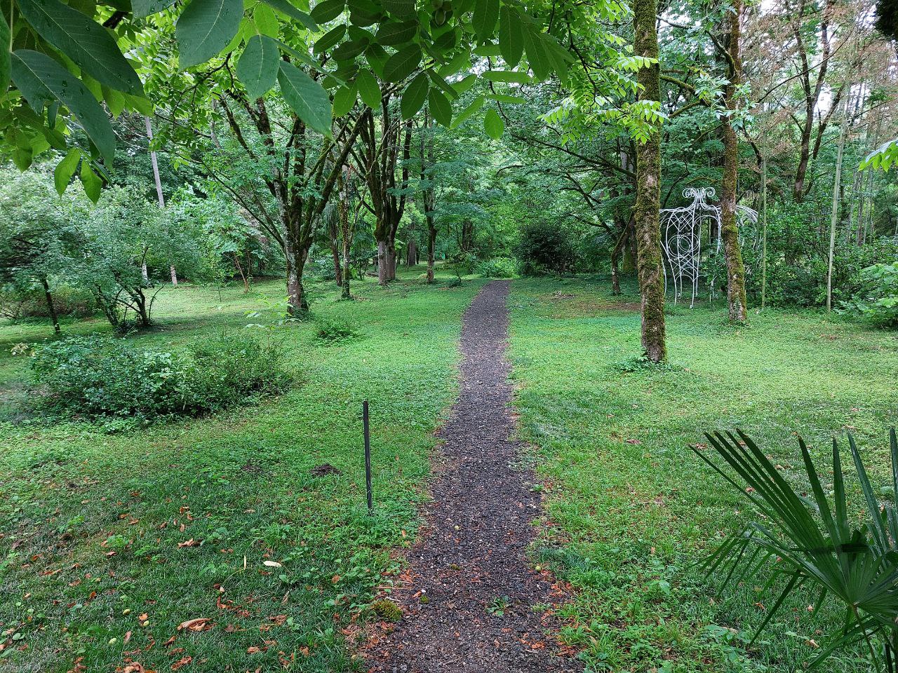 В Пензе более 77 млн рублей направят на защиту лесов от пожаров