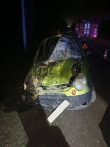 Пензенцы узнали о ДТП с табуном лошадей, в котором пострадала пассажирка