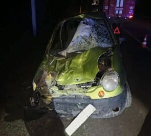 Пензенцы узнали о ДТП с табуном лошадей, в котором пострадала пассажирка