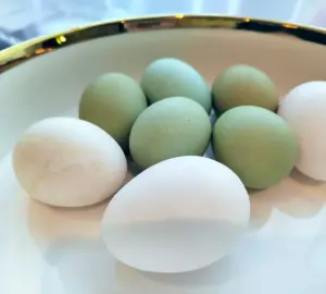 В Бессоновском районе курица начала нести бирюзовые яйца