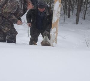 В Пензенской области охотников поймали на установке капканов