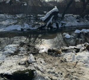 Река Труев в Кузнецке проходит весеннюю чистку перед паводком