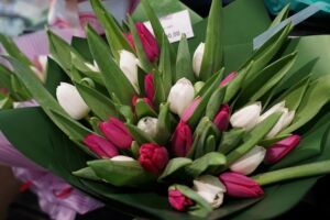 Где в Пензе купить тюльпаны к 8 Марта по 69 рублей