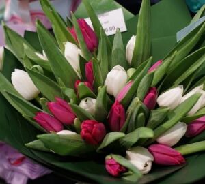 Где в Пензе купить тюльпаны к 8 Марта по 69 рублей