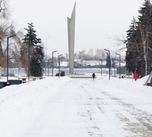 Гибель семи человек, увольнение министра и массовый убой скота: что случилось в Пензе 13 марта