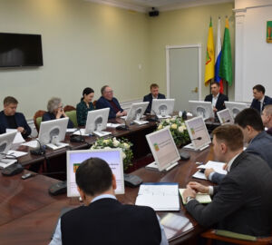 В Пензе депутатов подключат к рейдам по уборке снега и наледи